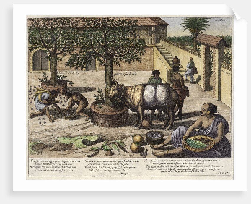 Jan Huygen van Linschiten illustration by Anonymous