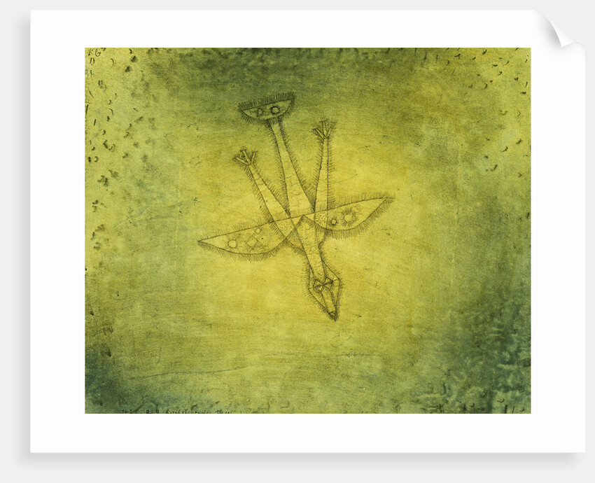 Down the More Troubling Bird by Paul Klee