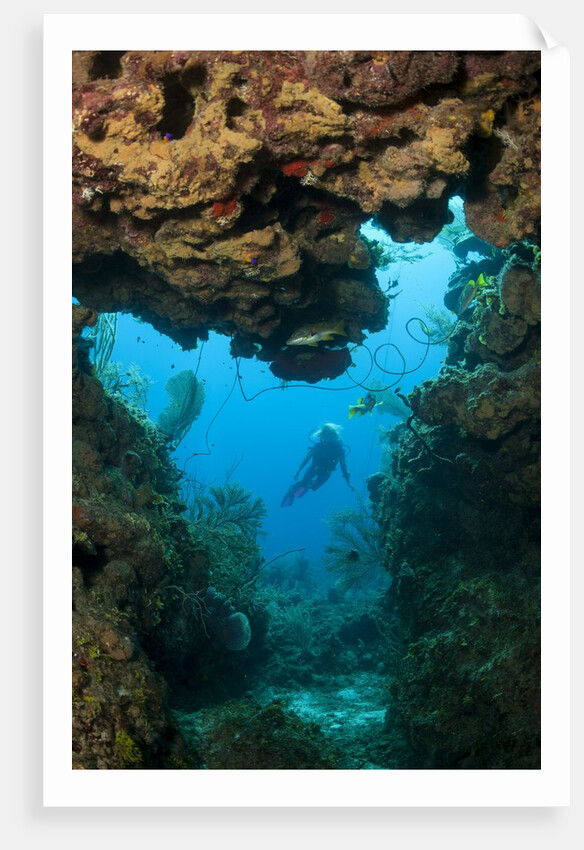 Diver seen through opening in coral reef by Anonymous