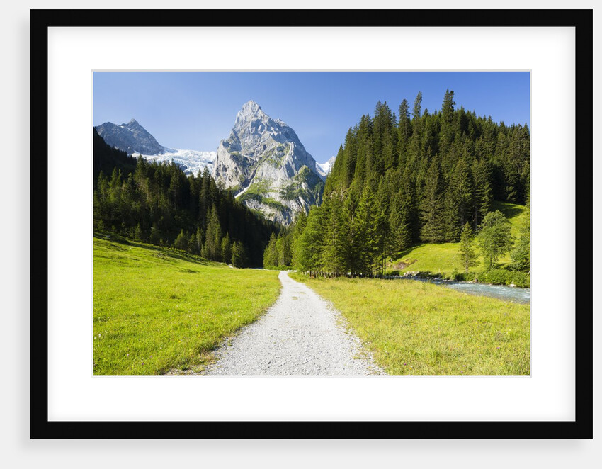Rosenlaui Valley by Anonymous