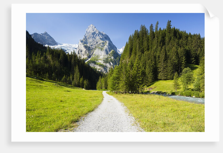 Rosenlaui Valley by Anonymous