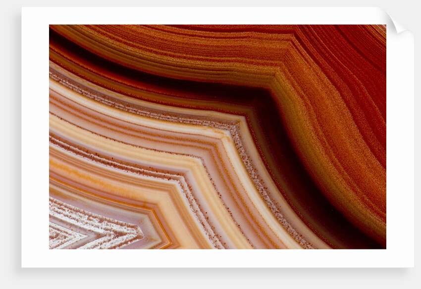 Close-up of Fortification Laguna Agate by Anonymous