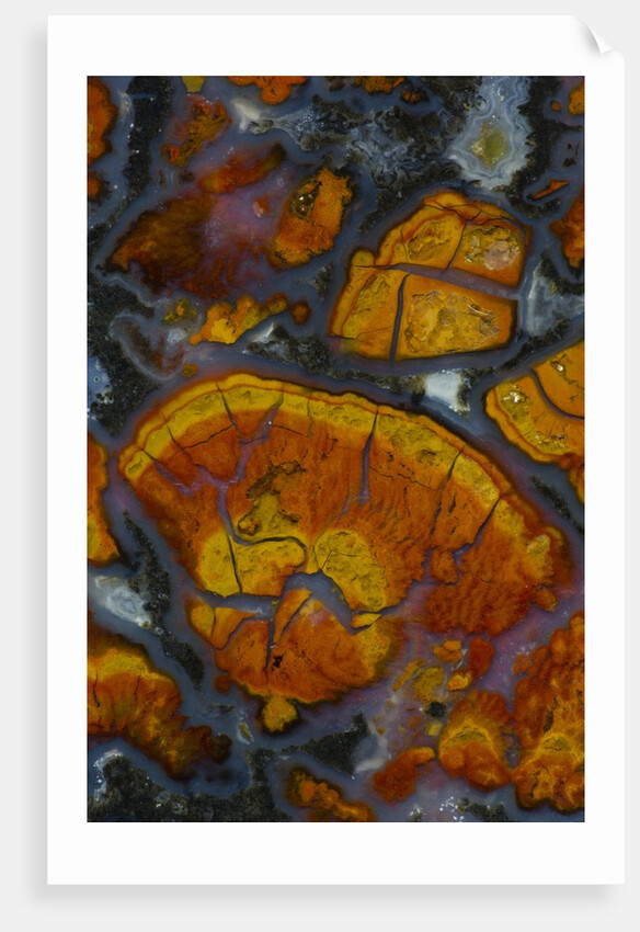 Wingate Pass Agate, Ca by Anonymous