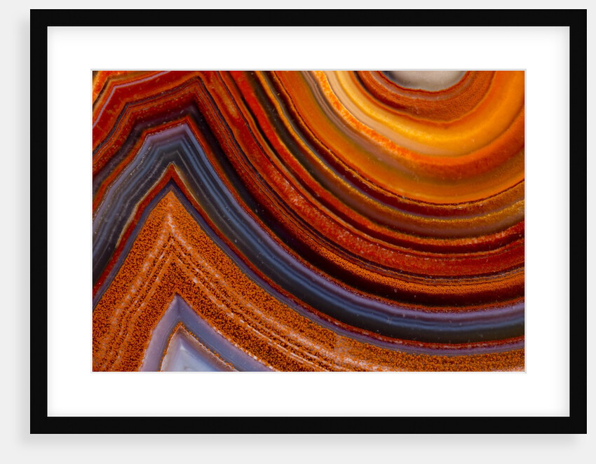 Close ups of Fortification on Crazy Lace Agate by Anonymous