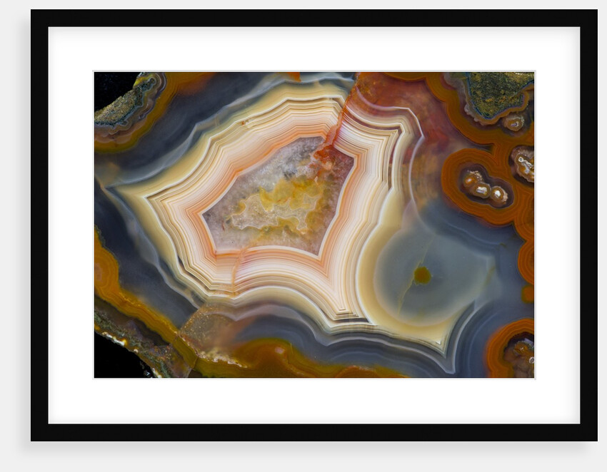 Condor Agate with fortifcations by Anonymous
