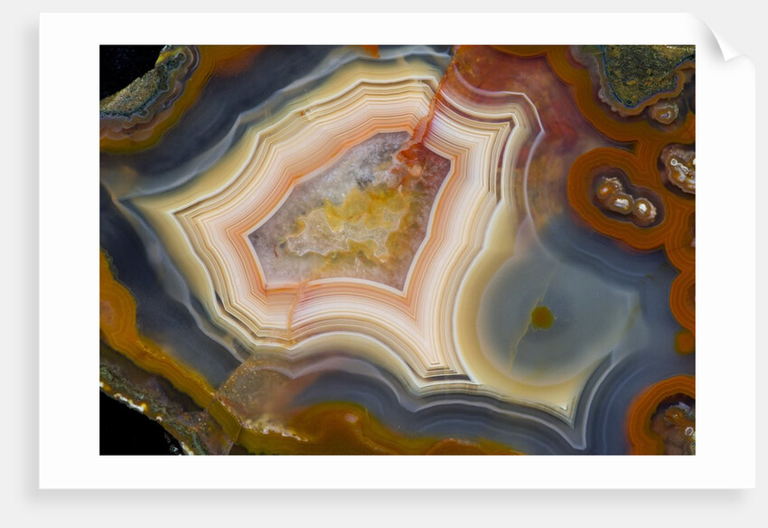Condor Agate with fortifcations by Anonymous