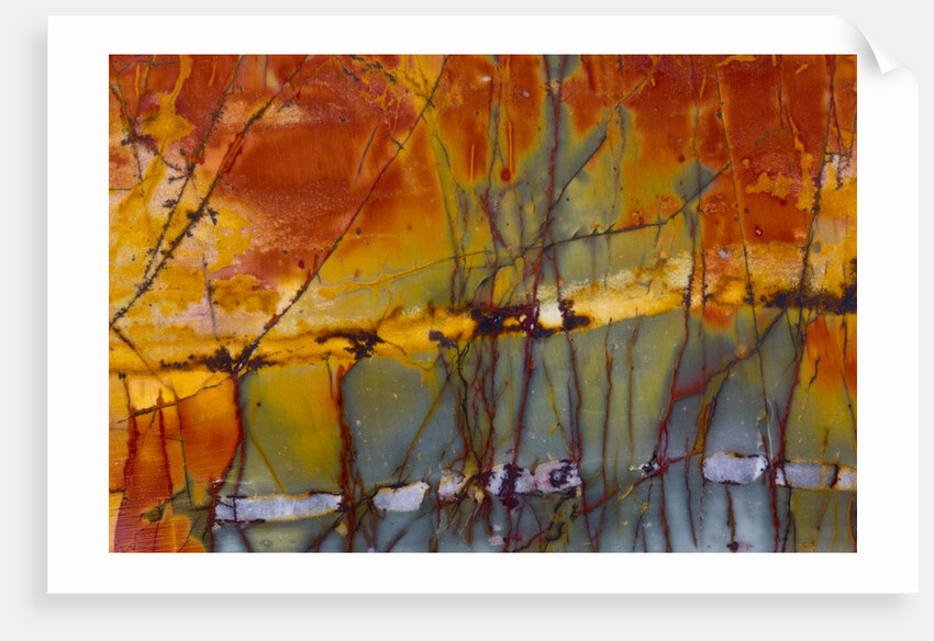 Cherry Creek Jasper by Anonymous