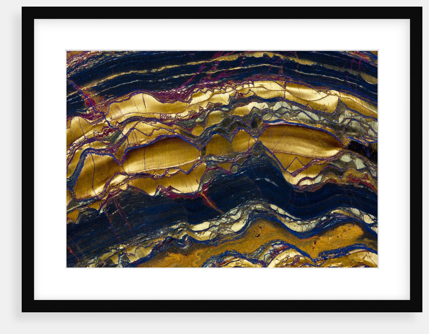 Tiger Eye by Anonymous