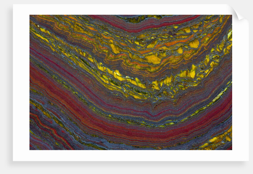 Tiger Eye by Anonymous