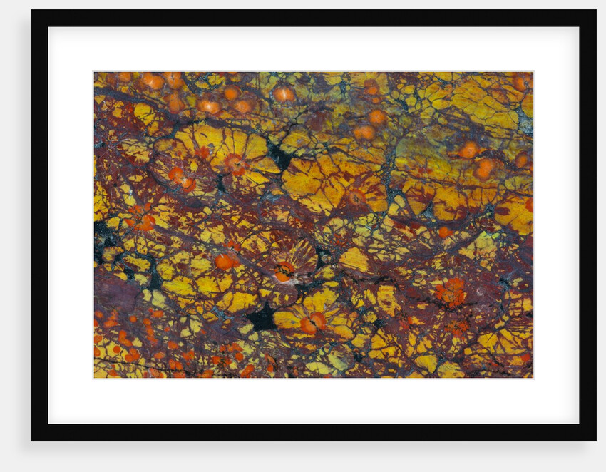 Poppy Jasper by Anonymous