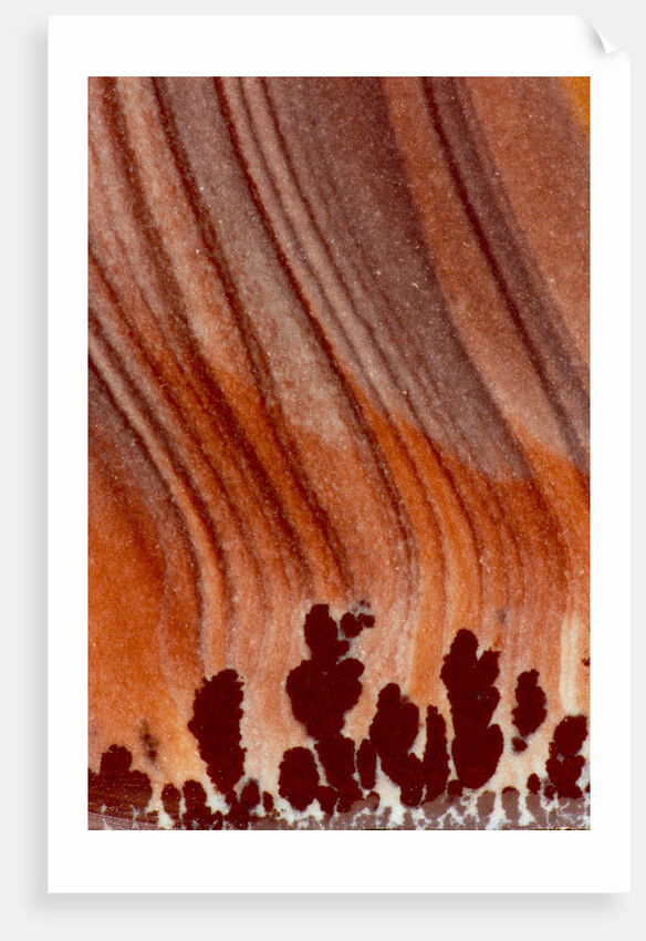Close up Apache Jasper by Anonymous