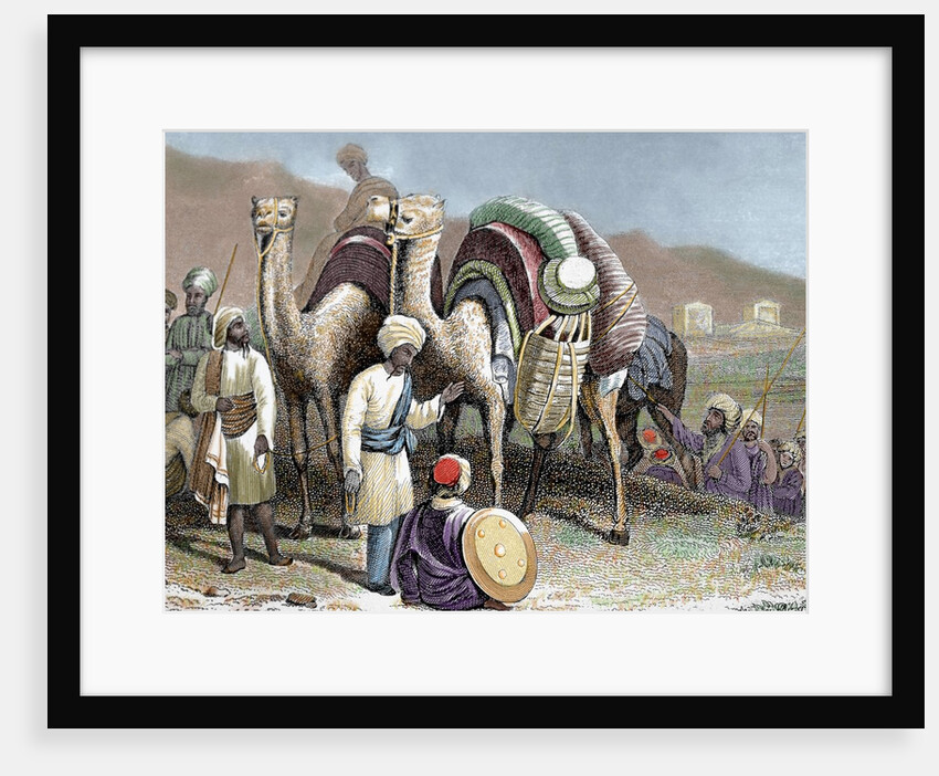 Silk Road. Caravan of camels resting. Engraving by Anonymous