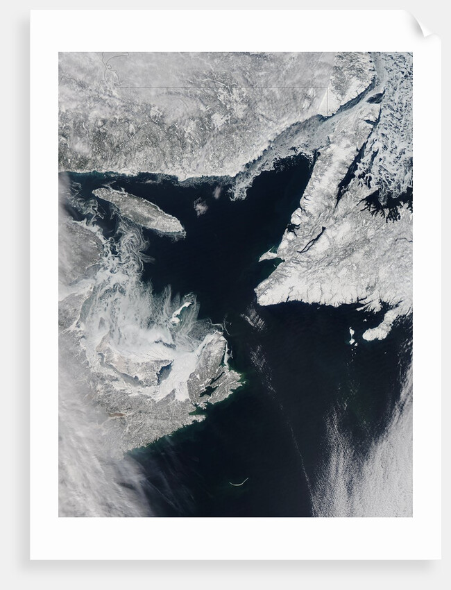 Sea Ice in the Gulf of St. Lawrence by Anonymous
