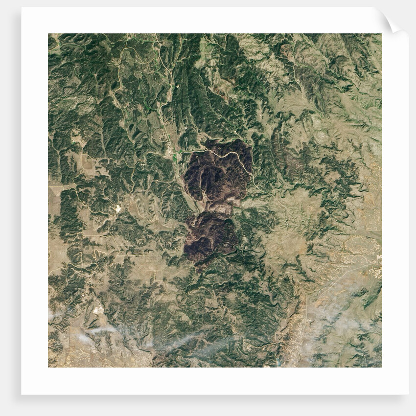 Myrtle Fire in South Dakota by Anonymous