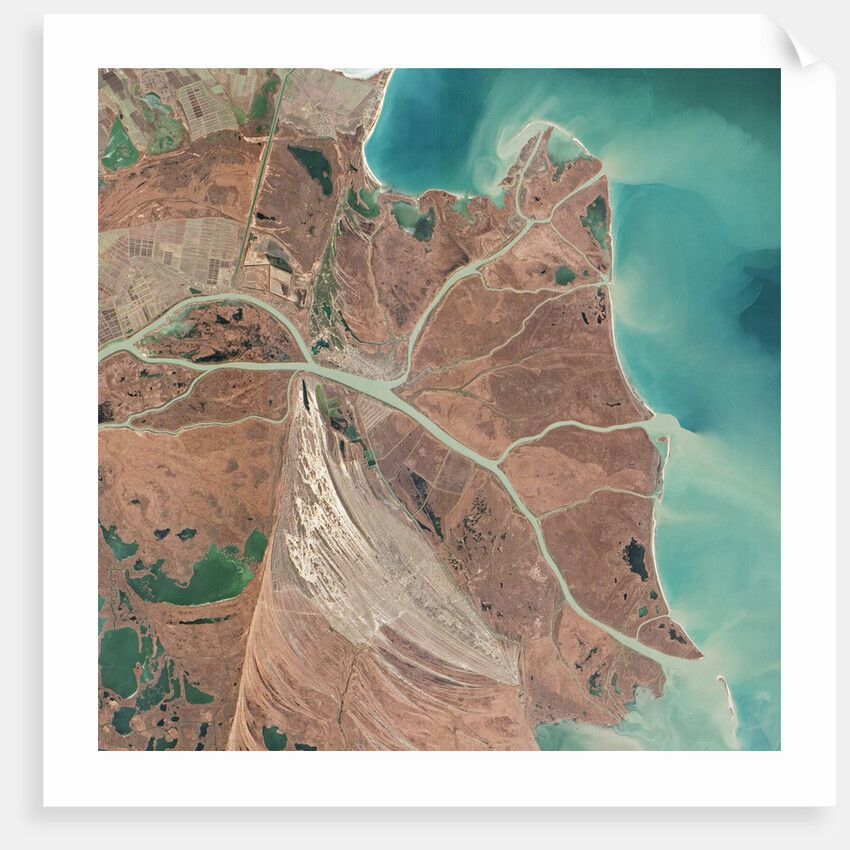 Danube River Delta by Anonymous