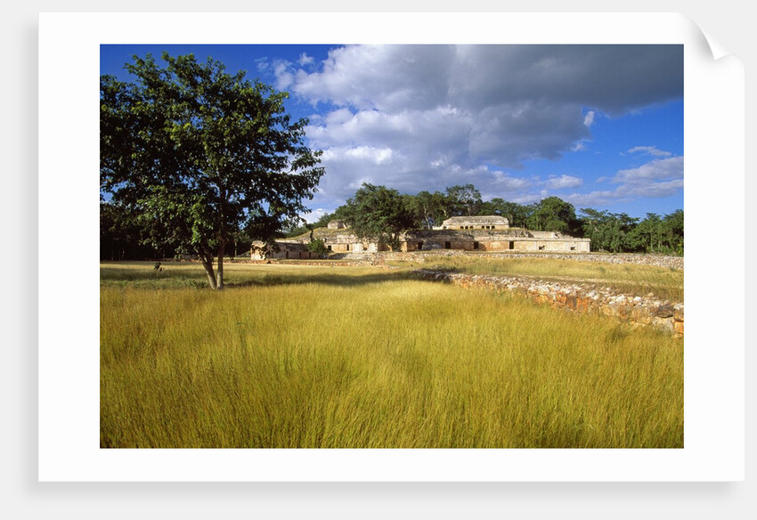 Rural scene with ruins of palace, Labna, Yucatan, Mexico by Anonymous