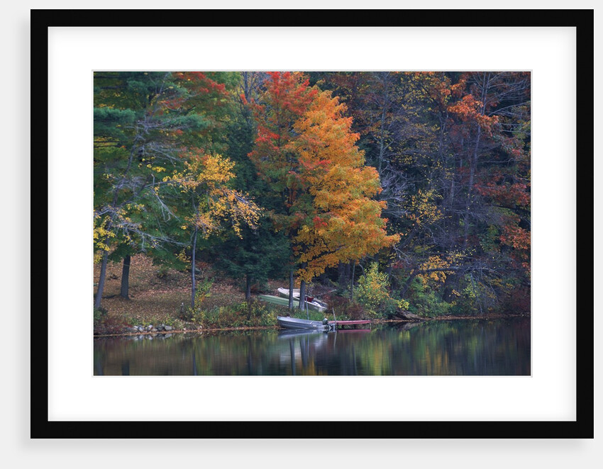 View of river and forest in early autumn, Pittsfield, Massachusetts, USA by Anonymous