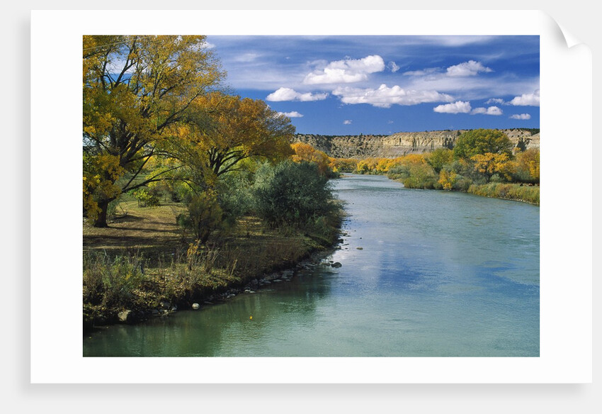 View of Animas River, New Mexico, USA by Anonymous
