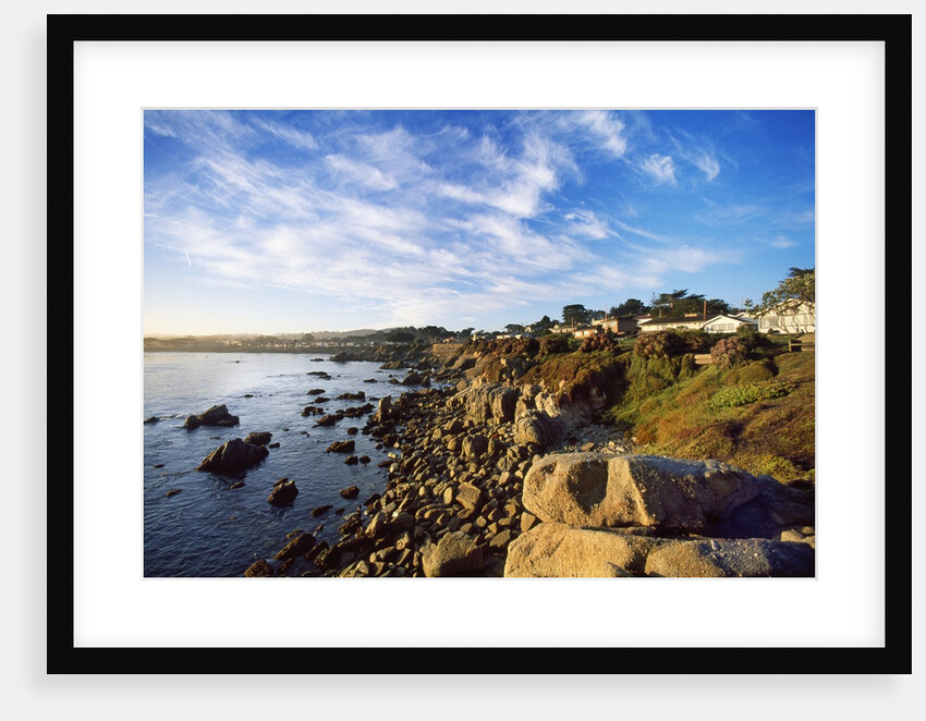 View of coastline, Pacific Grove, Monterey, California, USA by Anonymous