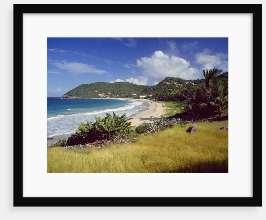 Landscape with sandy beach, Guadeloupe, France by Anonymous