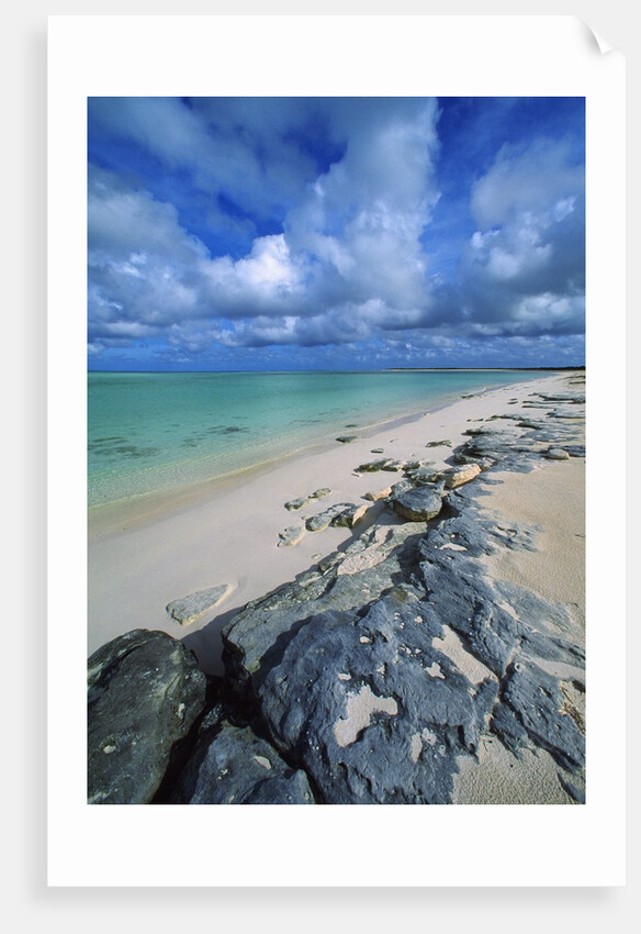 Beach, Turks and Caicos Islands, UK by Anonymous