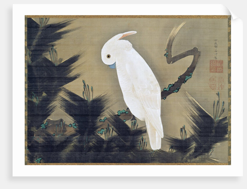White Cockatoo on a Pine Branch by Ito Jakuchu