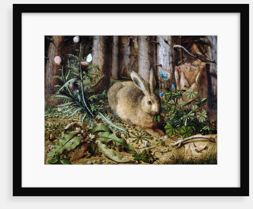A Hare in the Forest by Hans Hoffmann
