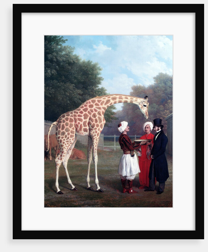 Nubian Giraffe by Jacques-Laurent Agasse