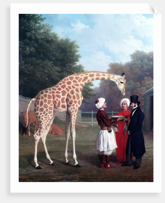 Nubian Giraffe by Jacques-Laurent Agasse