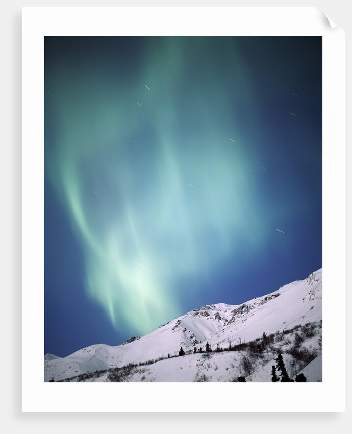 Aurora Borealis, Chugach State Park, Anchorage, Alaska by Anonymous