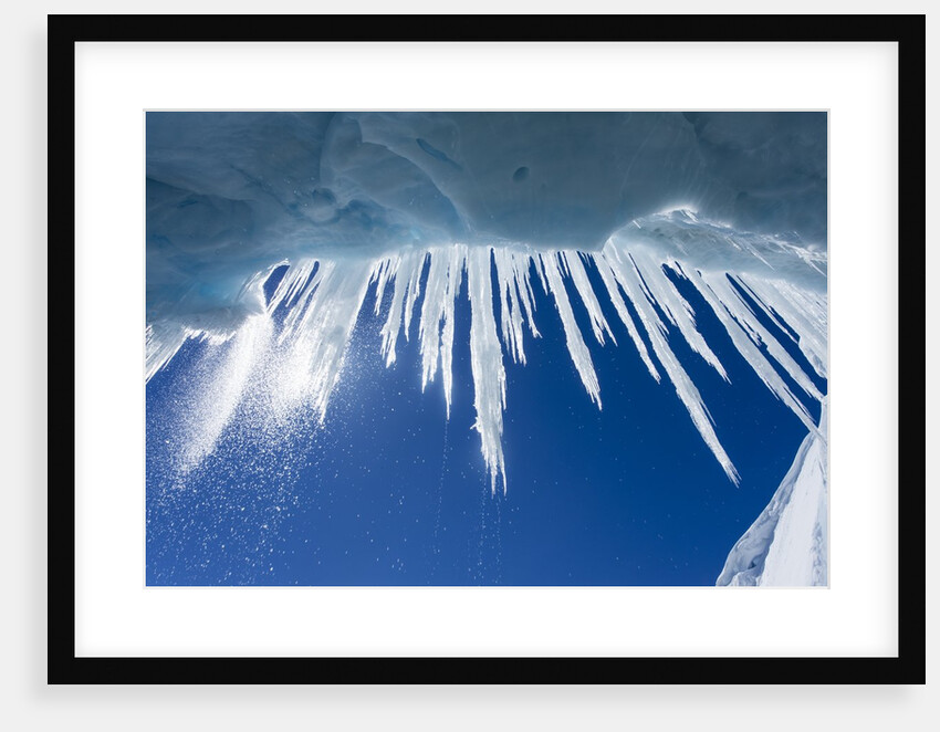 Icicles in Glacier Snow Cave, Antarctic Peninsula by Anonymous