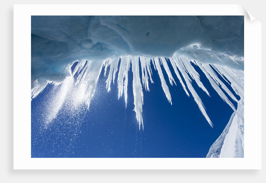 Icicles in Glacier Snow Cave, Antarctic Peninsula by Anonymous