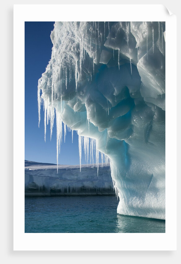 Iceberg, Petermann Island, Antarctica by Anonymous