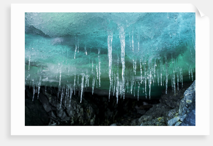 Icicles in Ice Cave, Cuverville Island, Antarctica by Anonymous