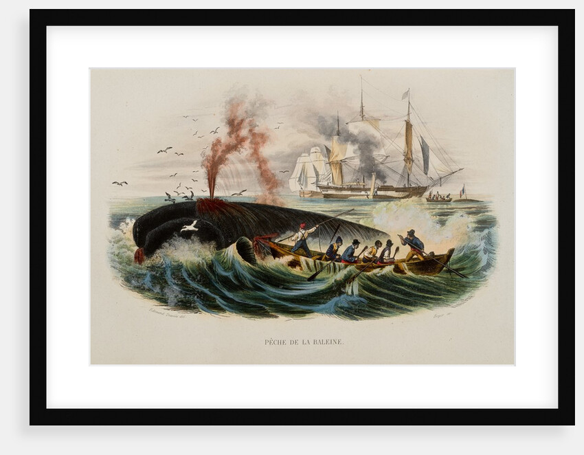 Whaling by Anonymous