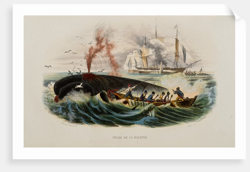 Whaling by Anonymous