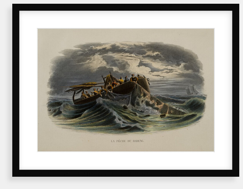 Herring Fishing by Anonymous