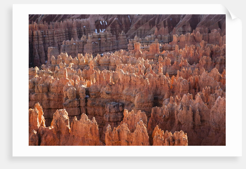 Bryce Canyon National Park, Utah. USA by Anonymous