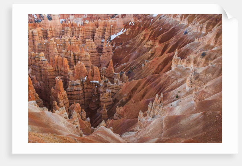 Bryce Canyon National Park, Utah. USA by Anonymous