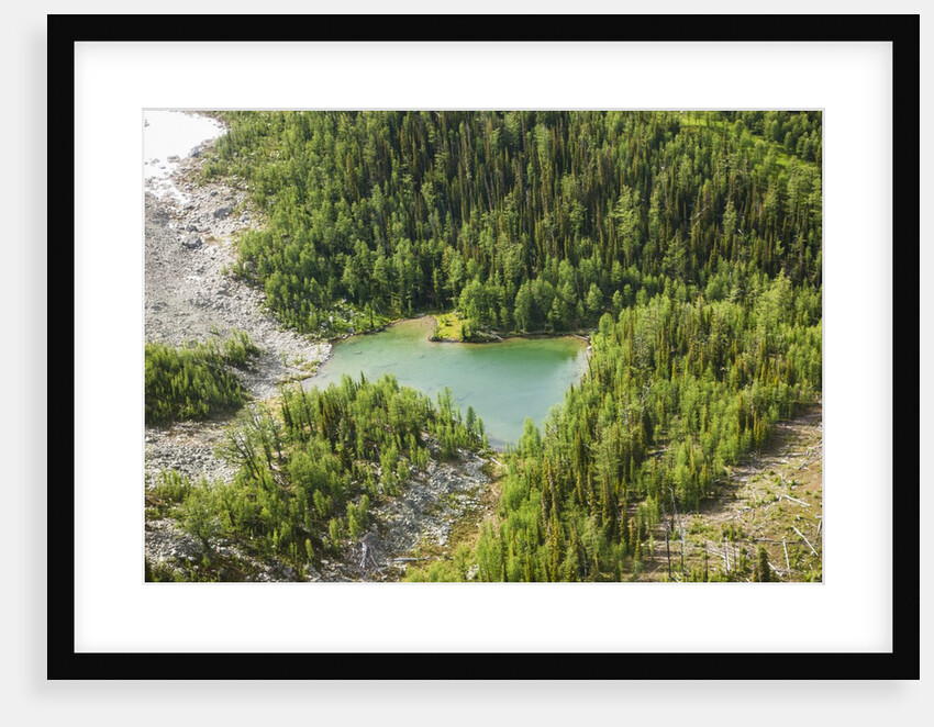 Revelstoke, Bugaboo Provincial Park, British Columbia, USA by Anonymous