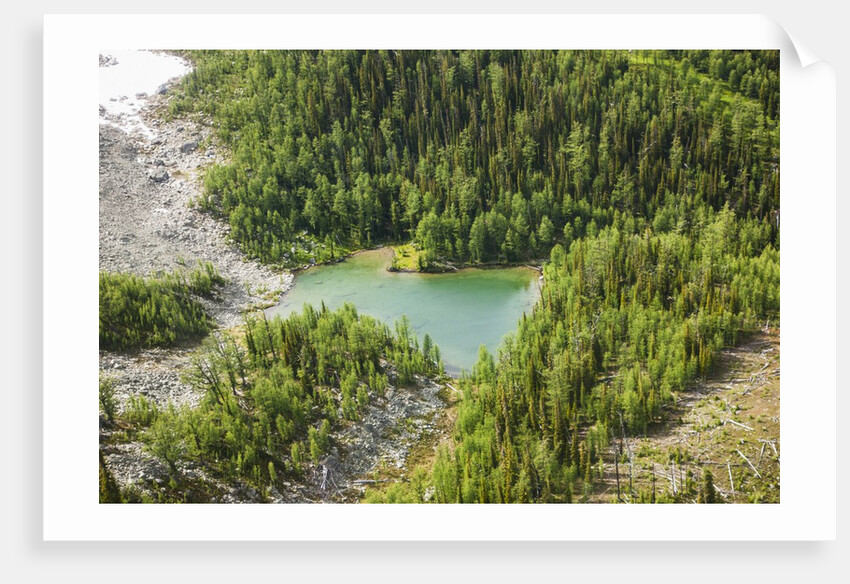 Revelstoke, Bugaboo Provincial Park, British Columbia, USA by Anonymous