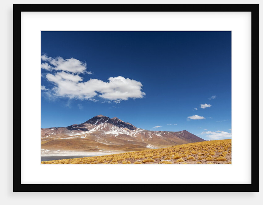 Desert lagoon, San Pedro de Atacama, Antofagasta Region, Chile by Anonymous