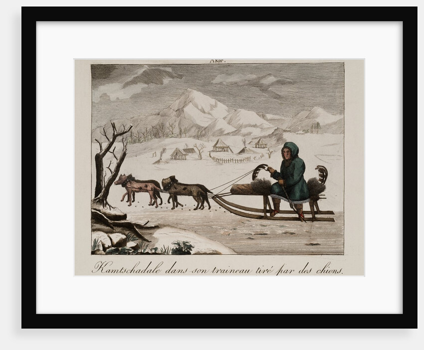 A sled in Siberia by Anonymous