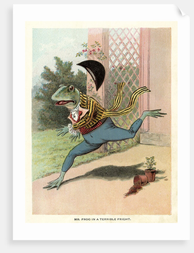 A Frog He Would A Wooing Go, Children's Book Illustration by Anonymous