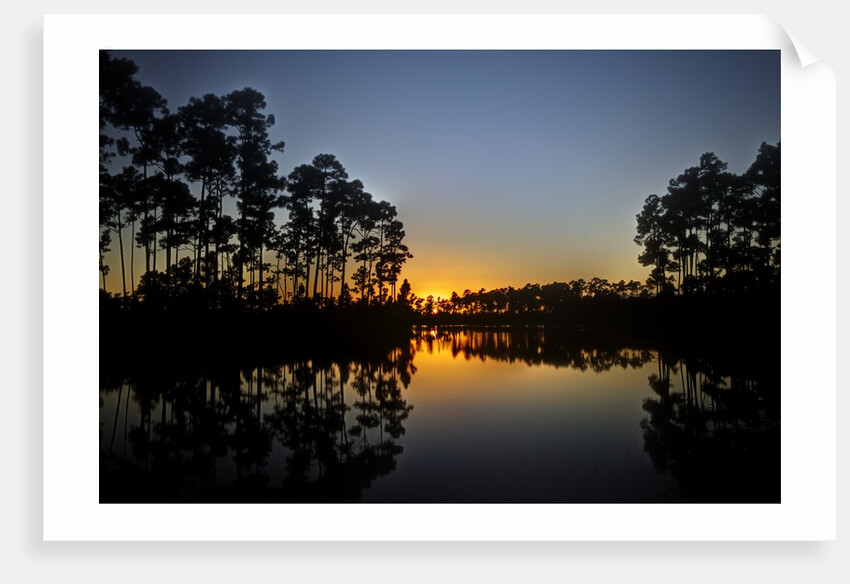 Sunset in Long Pine area of Everglades NP by Anonymous