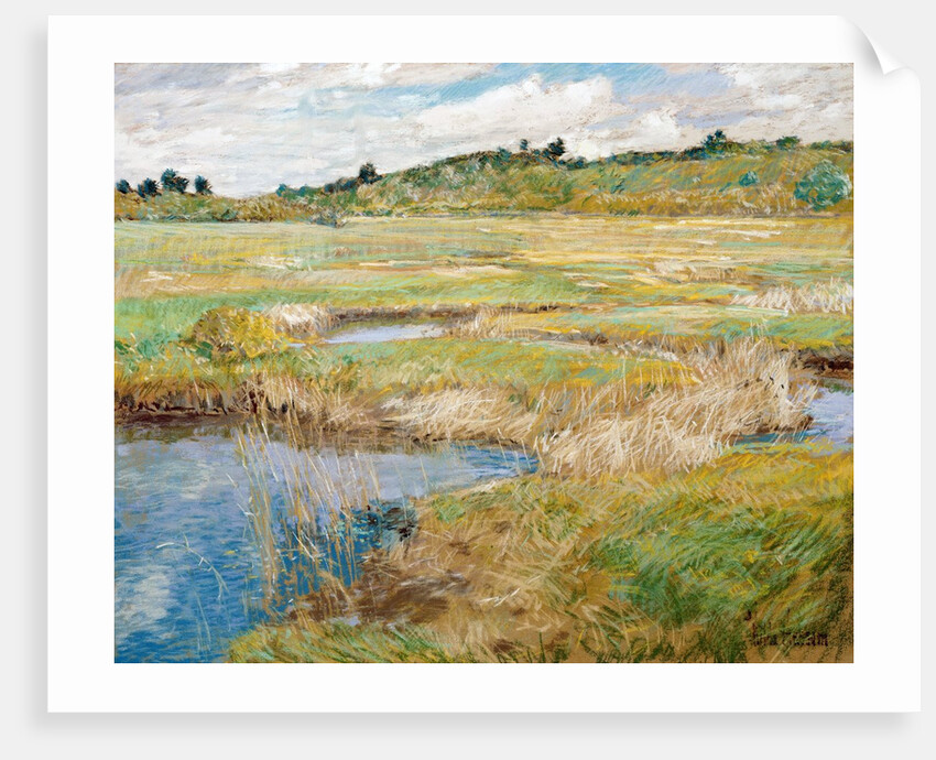 The Concord Meadow, Concord, Massachusetts by Childe Hassam