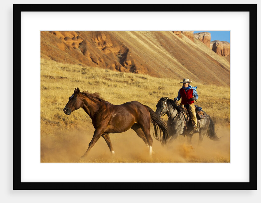 Cowgirl herding a horse by Anonymous