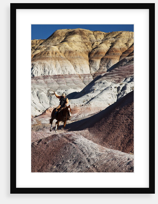 Cowboy in The Painted Hills by Anonymous