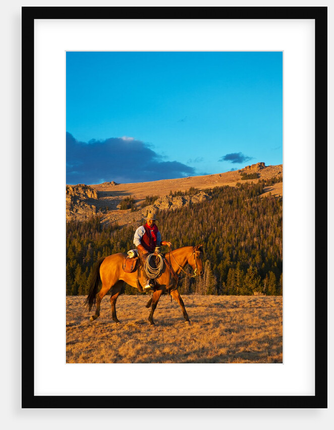 Cowboy riding the range by Anonymous