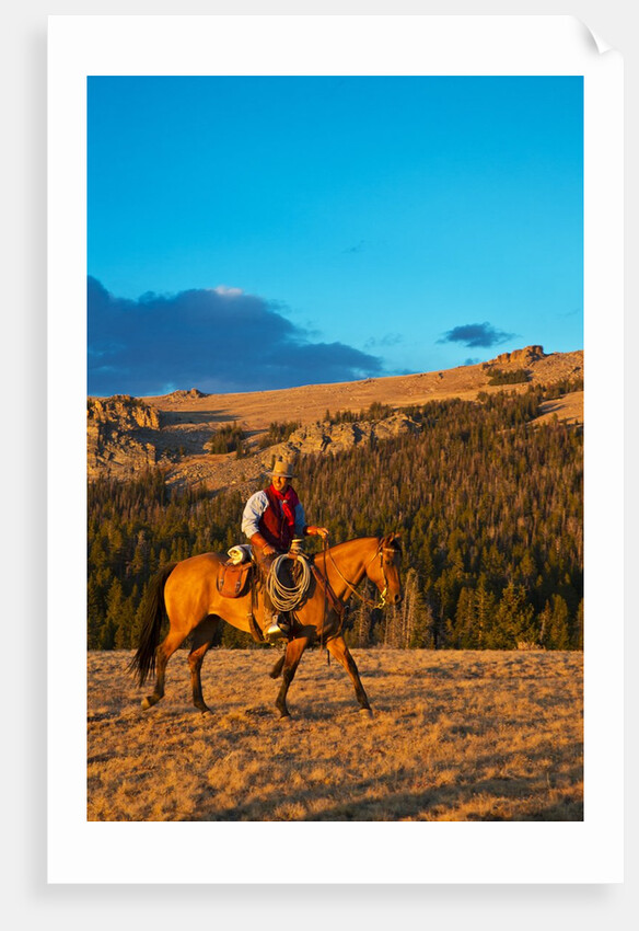 Cowboy riding the range by Anonymous